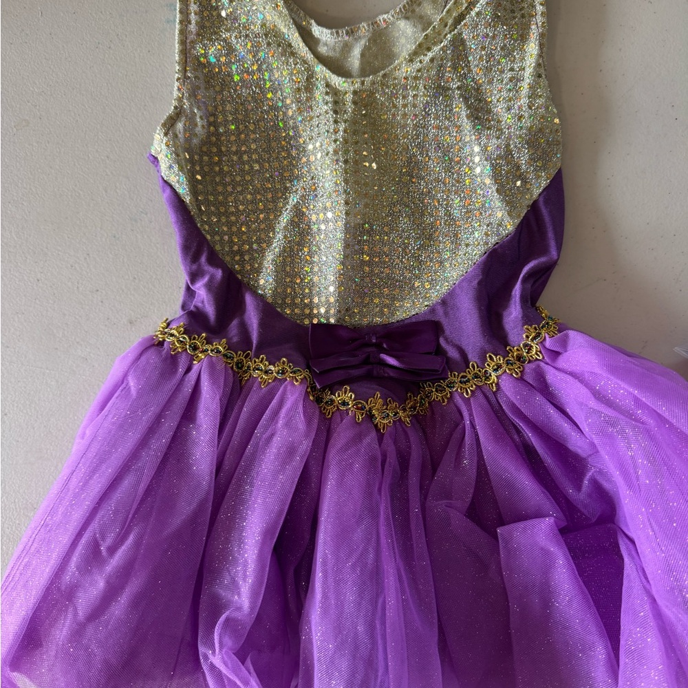 Anne Wheeler Acrobat Costume